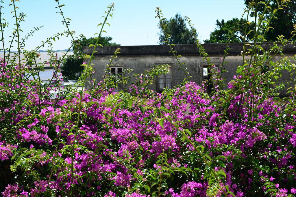 Posada Del Virrey Colonia del Sacramento Exteriér fotografie